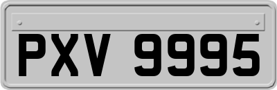 PXV9995