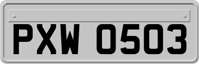 PXW0503