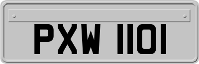 PXW1101