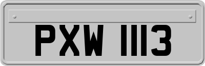 PXW1113