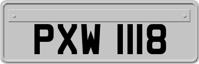 PXW1118