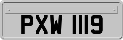 PXW1119