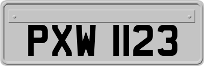 PXW1123