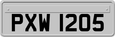 PXW1205