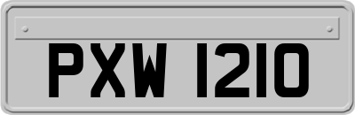 PXW1210