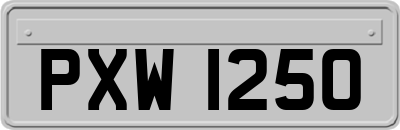 PXW1250