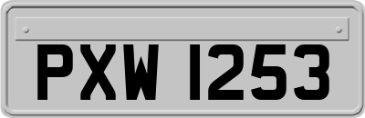 PXW1253