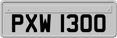 PXW1300