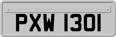 PXW1301