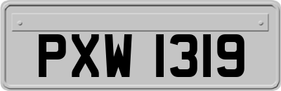 PXW1319