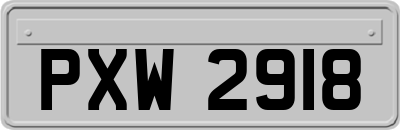 PXW2918