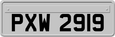 PXW2919