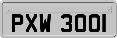 PXW3001