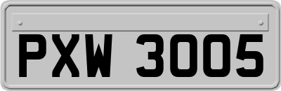 PXW3005