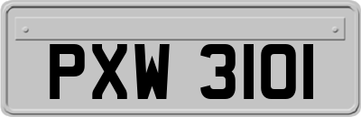 PXW3101