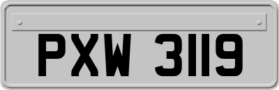 PXW3119