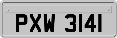 PXW3141