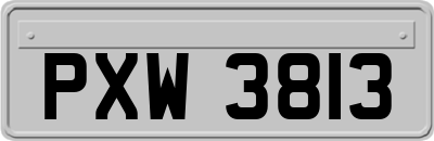 PXW3813