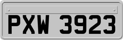 PXW3923