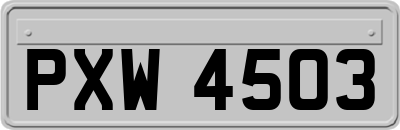 PXW4503