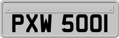 PXW5001