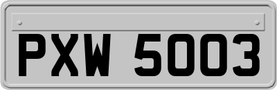 PXW5003