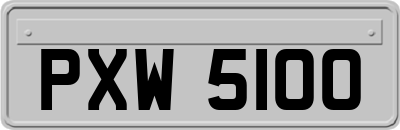 PXW5100