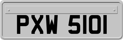 PXW5101