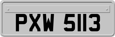 PXW5113