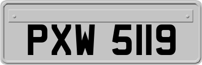 PXW5119