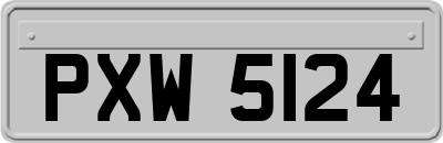 PXW5124