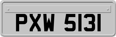 PXW5131