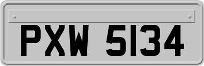 PXW5134