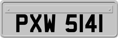 PXW5141