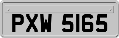 PXW5165