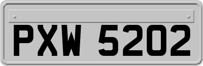 PXW5202