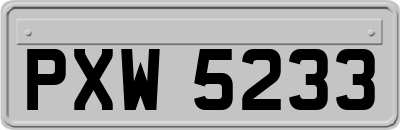 PXW5233