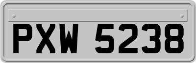 PXW5238