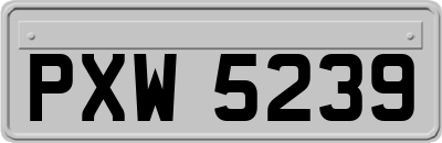 PXW5239