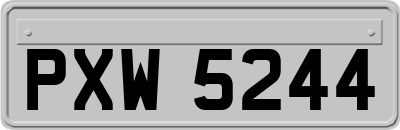 PXW5244