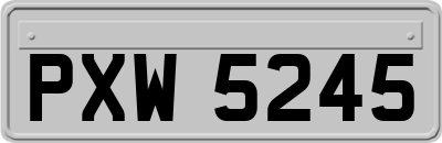 PXW5245