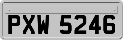 PXW5246