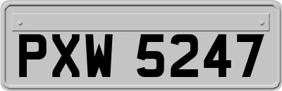 PXW5247