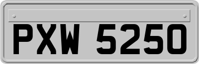 PXW5250