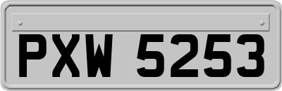 PXW5253