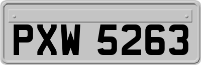 PXW5263