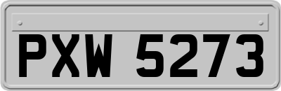 PXW5273