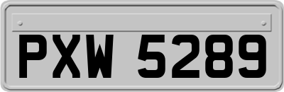 PXW5289