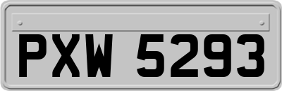 PXW5293