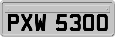 PXW5300